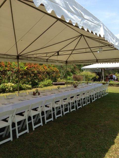 Our long table awaits...