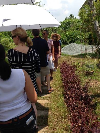 The See-Food Experience at the 3rd Moveable Feast
