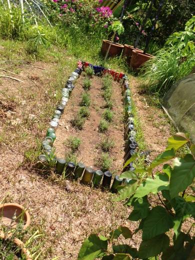 Another great way to recycle wine bottles is to use them as dividers.