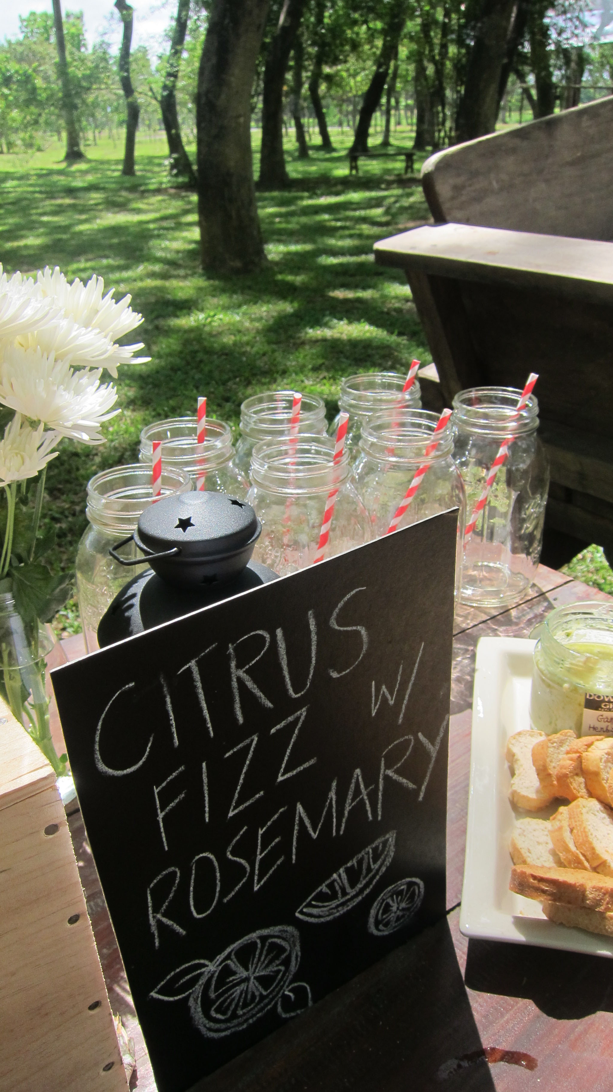 Citrus Fizz with Rosemary